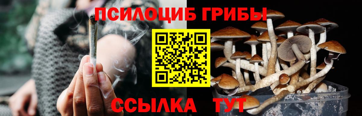 Псилоцибиновые грибы мицелий Зеленодольск